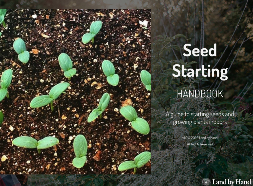 Seed Starting Guide - Land By Hand